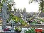 Plecka D�browa, mogi�y zbiorowe. Stan z dn. 26. 08. 2011 r. (fot. Tomasz Karolak).