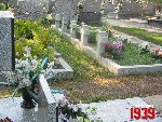 Plecka D�browa, mogi�y zbiorowe. Stan z dn. 26. 08. 2011 r. (fot. Tomasz Karolak).