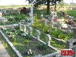Plecka D�browa, mogi�y zbiorowe. Stan z dn. 26. 08. 2011 r. (fot. Tomasz Karolak).