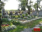 Plecka D�browa, mogi�y zbiorowe. Stan z dn. 26. 08. 2011 r. (fot. Tomasz Karolak).