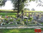 Plecka D�browa, mogi�y zbiorowe. Stan z dn. 26. 08. 2011 r. (fot. Tomasz Karolak).