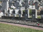 Dmosin, kwatera wojenna. Stan z dn. 19. 10. 2013 r. (fot. B�a�ej Kucharski).