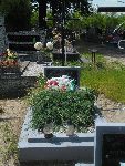 Grzmi�ca, mogi�y indywidualne. Stan z dn. 05. 06. 2014 r. (fot. B�a�ej Kucharski).