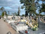 Strzegocin, mogi�a zbiorowa. Stan z dn. 16. 09. 2011 r. (fot. Witold Rapsiewicz).