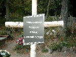 G�ogowiec, mogi�a zbiorowa. Stan z dn. 20. 09. 2011 r. (fot. Witold Rapsiewicz).
