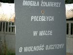 G�ogowiec, mogi�a zbiorowa. Stan z dn. 20. 09. 2011 r. (fot. Witold Rapsiewicz).