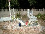 G�ogowiec, mogi�a zbiorowa. Stan z dn. 20. 09. 2011 r. (fot. Witold Rapsiewicz).