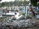G�ogowiec, mogi�a zbiorowa. Stan z dn. 20. 09. 2011 r. (fot. Witold Rapsiewicz).