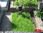 Sochaczew, ul. Traugutta, mogi�a indywidualna (2). Stan z dn. 12. 07. 2011 r. (fot. Tomasz Karolak).