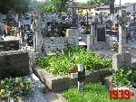Sochaczew, ul. Traugutta, mogi�a indywidualna (2). Stan z dn. 12. 07. 2011 r. (fot. Tomasz Karolak).