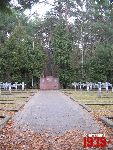 Wiktor�w, cmentarz wojenny. Stan z dn. 04. 12. 2011 r. (fot. Tomasz Karolak).