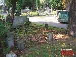 Warszawa, ul. M�ynarska, gr�b rodzinny (2). Stan z dn. 13 wrze�nia 2016 r. (fot. Tomasz Karolak).