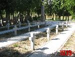 Zabor�w, kwatera wojenna. Stan z dn. 31. 08. 2011 r. (fot. Tomasz Karolak).