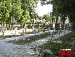 Zabor�w, kwatera wojenna. Stan z dn. 31. 08. 2011 r. (fot. Tomasz Karolak).