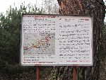 D�bsk Nowy, miejsce pami�ci (A. Nowi�ski).