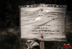 D�bsk Nowy, miejsce pami�ci (fot. �. Wojtczak).