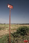 D�bsk Nowy, miejsce pami�ci (fot. �. Wojtczak).