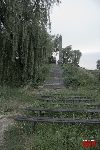 �lad�w, obelisk w miejscu zbrodni hitlerowskiej na �o�nierzach Wojska Polskiego i ludno�ci cywilnej (fot. �. Wojtczak).