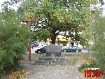 Brwin�w, Rynek, pomnik. Stan z dn. 05. 10. 2011 r. (fot. Tomasz Karolak).