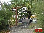 Brwin�w, Rynek, pomnik. Stan z dn. 05. 10. 2011 r. (fot. Tomasz Karolak).