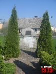 Chodecz, ul. Kaliska, pomnik. Stan z dn. 01. 05. 2012 r. (fot. Tomasz Karolak).