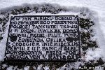 Przy Orle (uroczysko), Kamie� Orlika, Stan z dn. 23 listopada 2008 r. (fot. Tomasz Kuran).