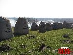 Wyszogr�d, pomnik. Stan z dn. 05. 04. 2011 r. (fot. Tomasz Karolak).